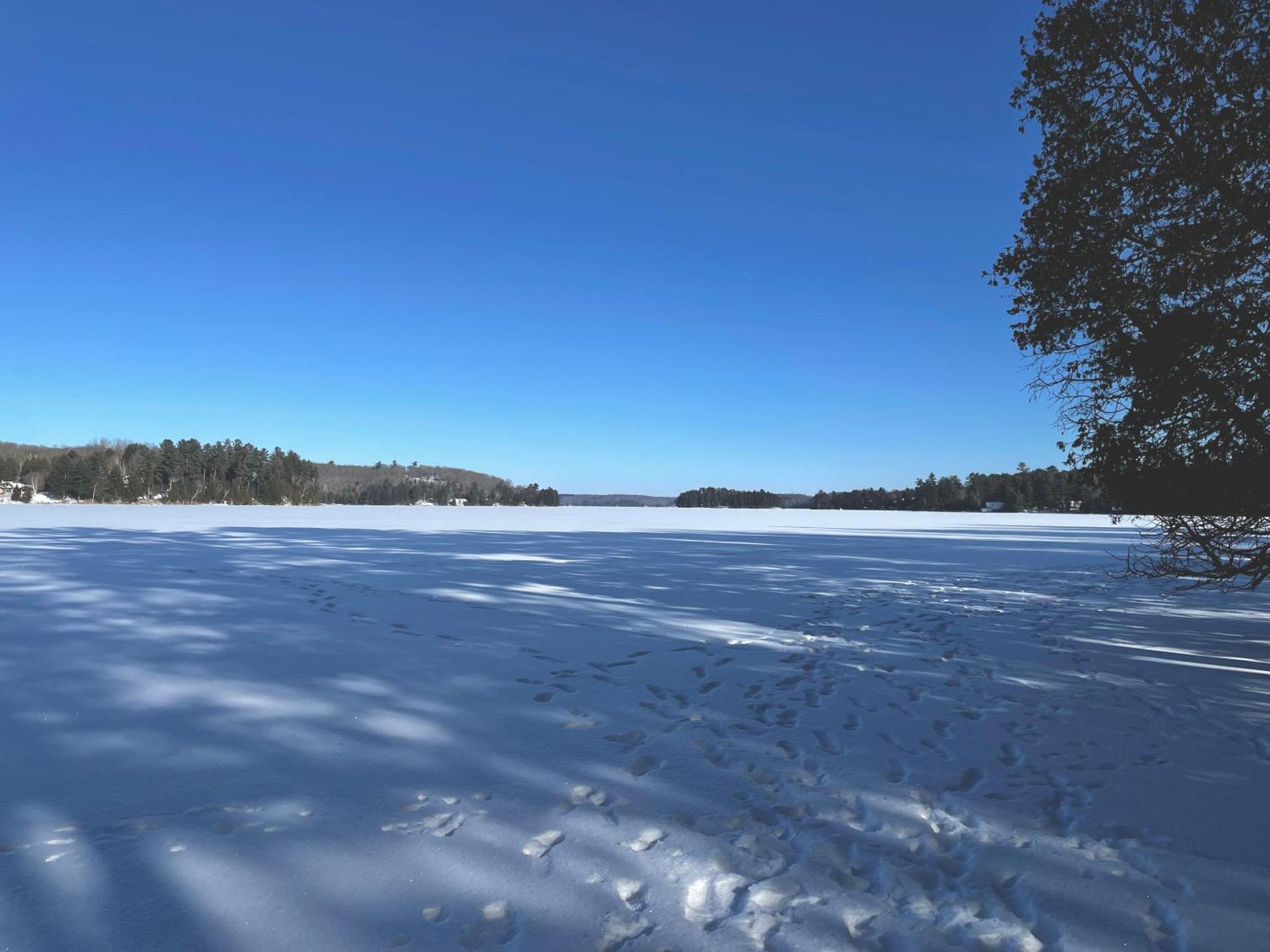 Haliburton Post House Hotel Minden Bagian luar foto